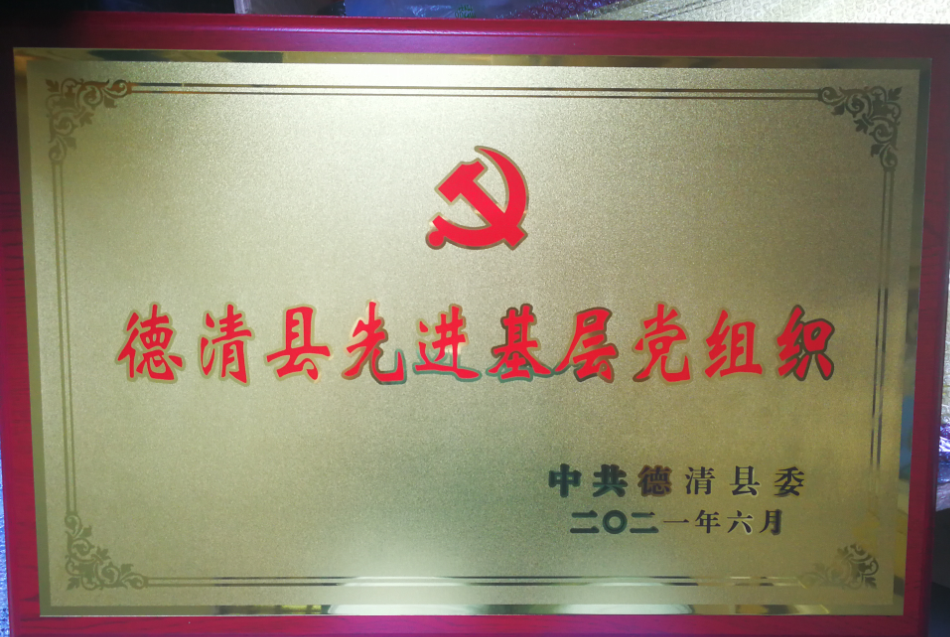 Advanced grass roots Party organizations in Deqing County