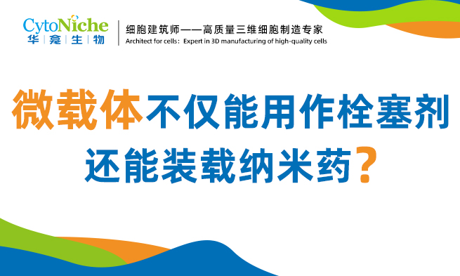 前沿研究︱微载体不仅能用作栓塞剂，还能装载纳米药？