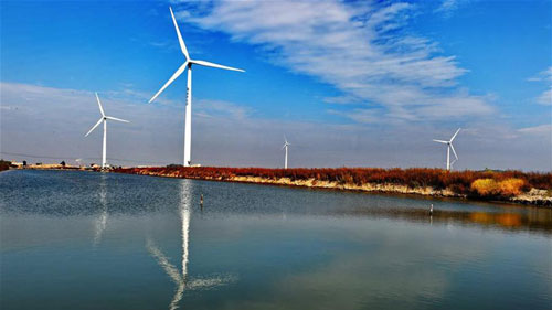 世 界 風 電 產 業 發 展 迅 猛