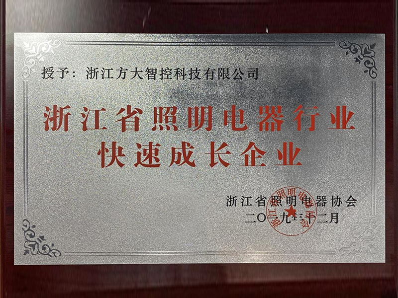 浙江省照明电器行业快速成长企业 浙江省照明电器行业快速成长企业