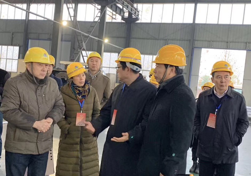 濟源市政協主席、副主席等一行冒雪蒞臨我公司考察
