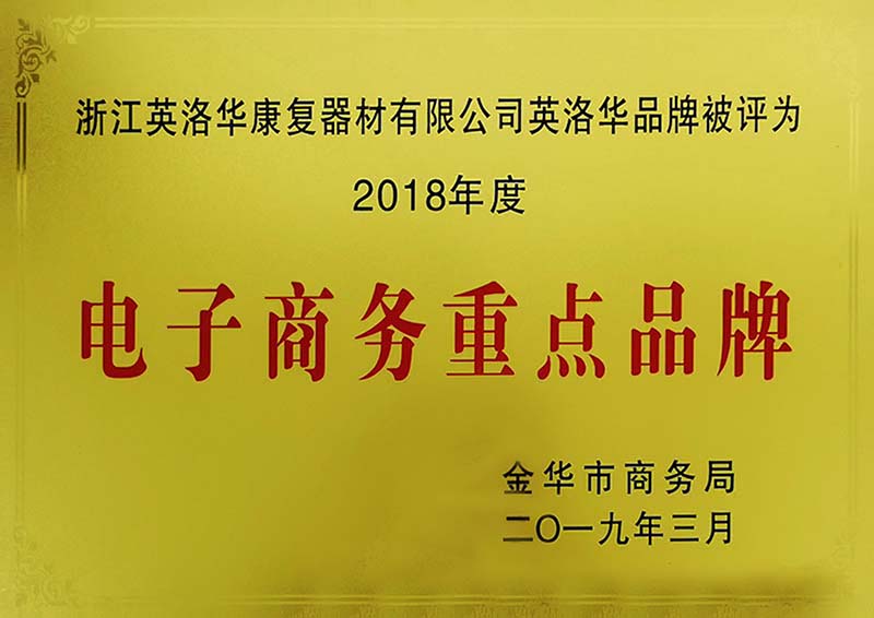 金华市电子商务重点品牌