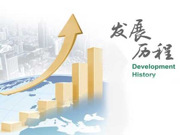 我國精密裁板鋸的發展概況 我國精密裁板鋸的發展概況