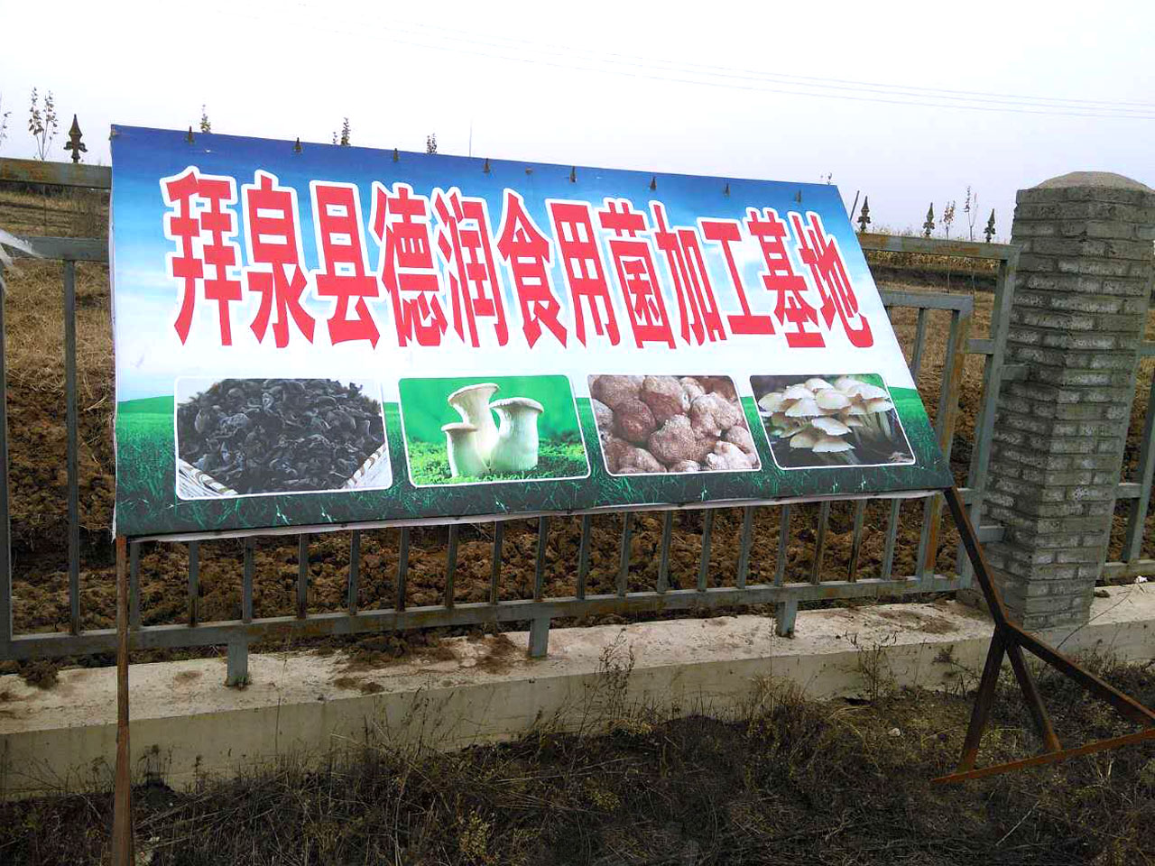 產品名稱