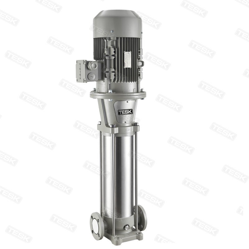 Vertical multistage centrifugal pump SVH/SVHT Vertical multistage centrifugal pump SVH/SVHT