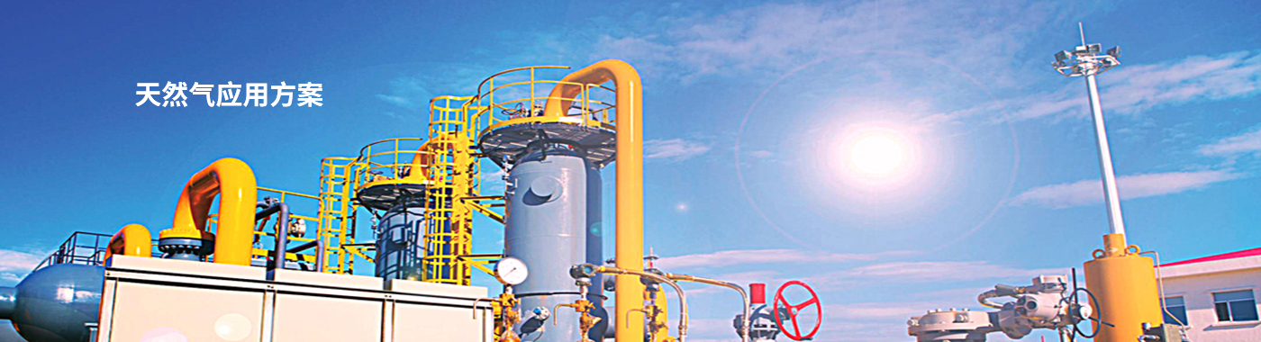 熱式質量流量計產品廣泛用于天然氣輸配應用方案等領域。