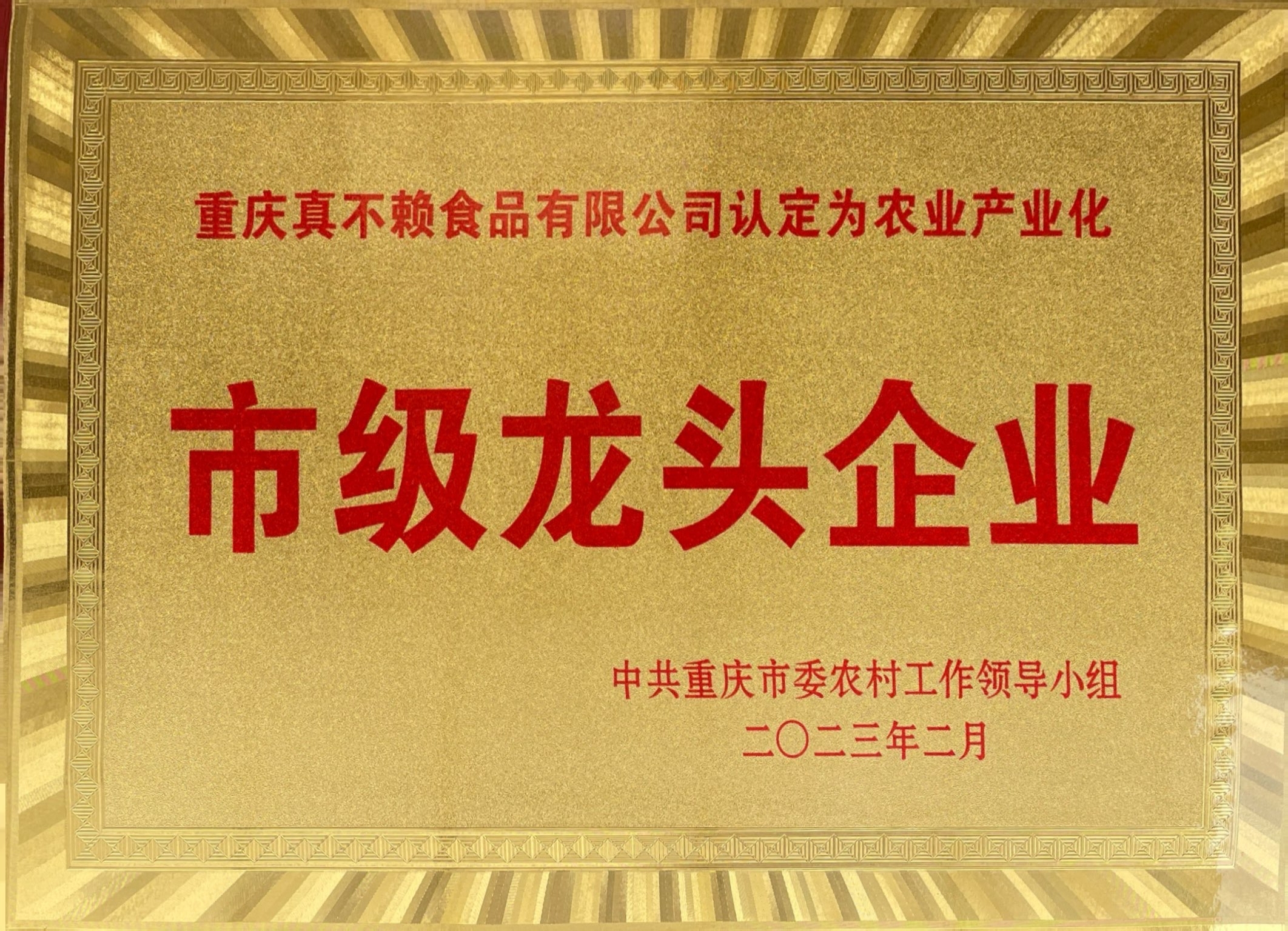 市級龍頭企業(yè)