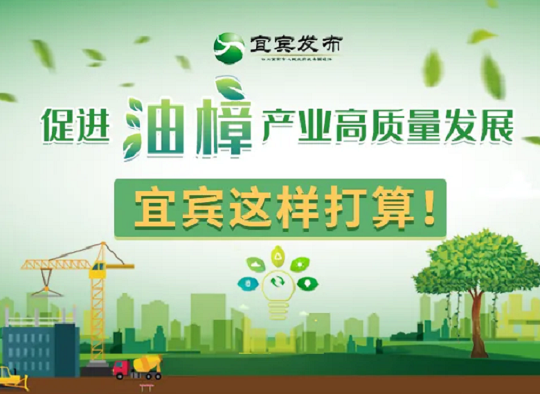 促進油樟高質量發展，宜賓這樣打算！