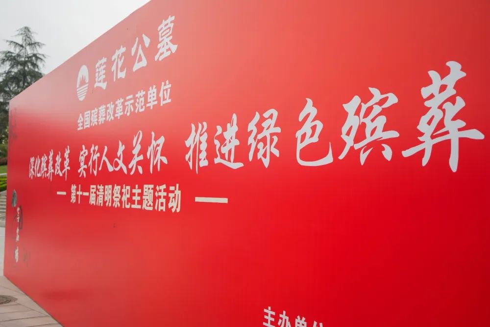 在这里，我们造就了一场“绿色”与“清明”的浪漫邂逅