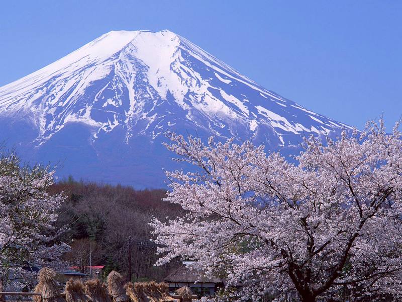 日本簽證個(gè)人旅游自由行