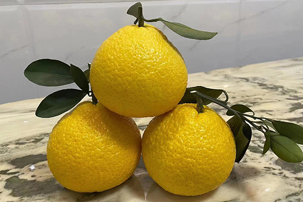 帥橘