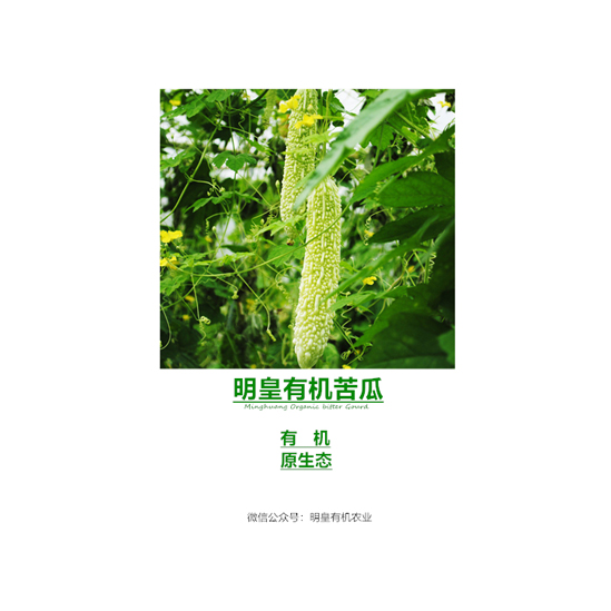 明皇有機(jī)苦瓜