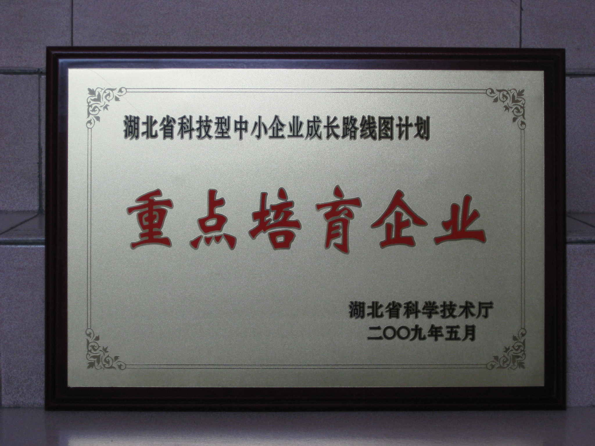 09.5省科技成長(cháng)重點(diǎn)培育企業(yè)