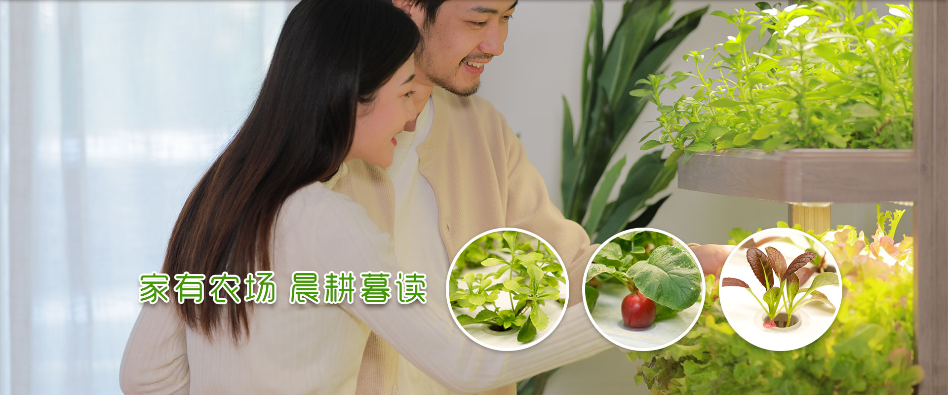 家有农场,晨耕暮读 家有农场,晨耕暮读