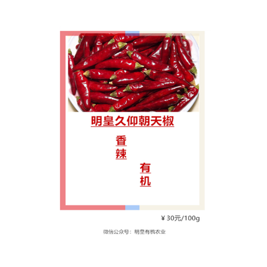 明皇久仰朝天椒