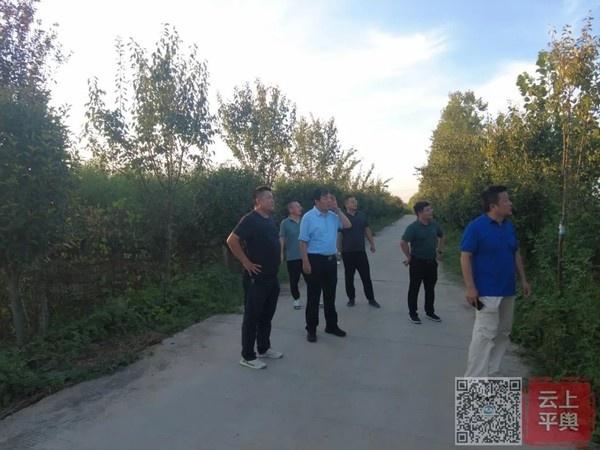 乡村要振兴 产业必先行——平舆县委副书记、县长刘飞与省派第一书记共同调研天中人家生态产业园指导产业发展