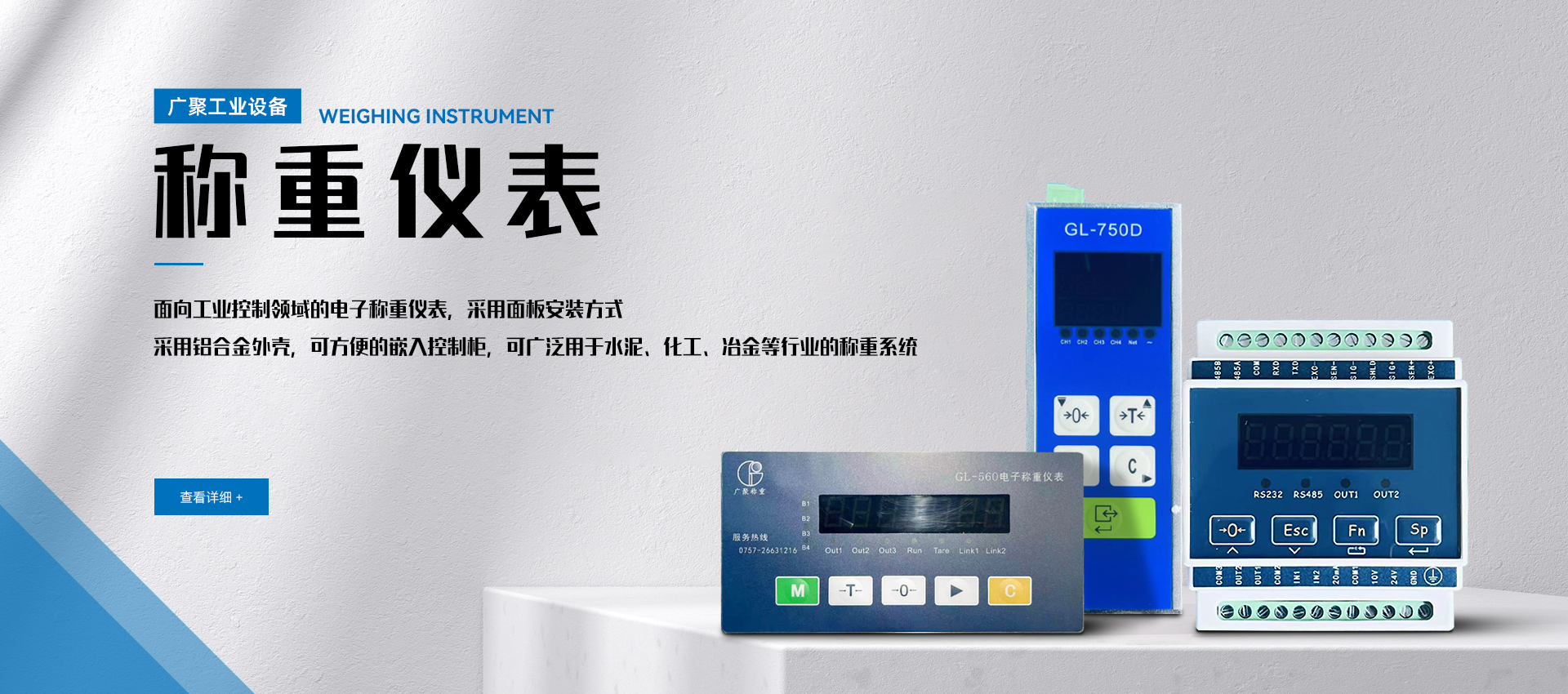 称重仪表 称重仪表