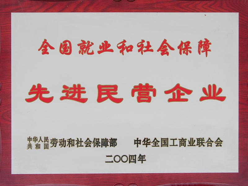 2004年全國就業和社會保障先進民營企業