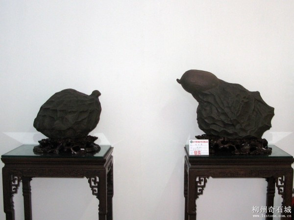 鳳求凰（銀獎(jiǎng)）