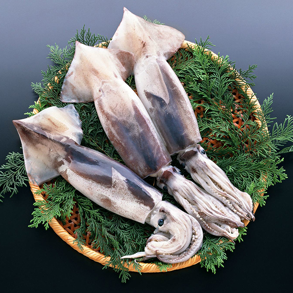 餐桌魷魚