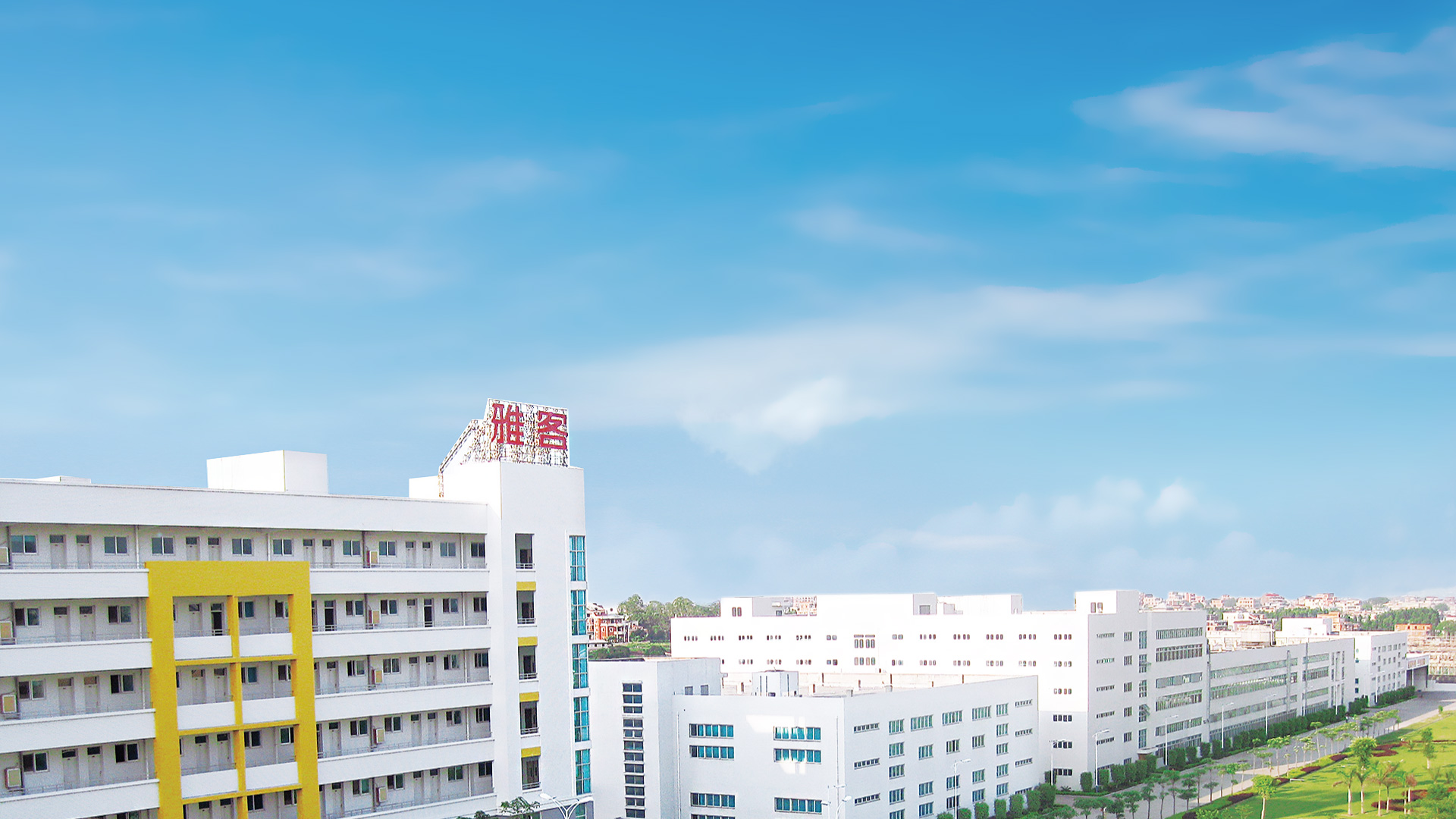 關于雅客