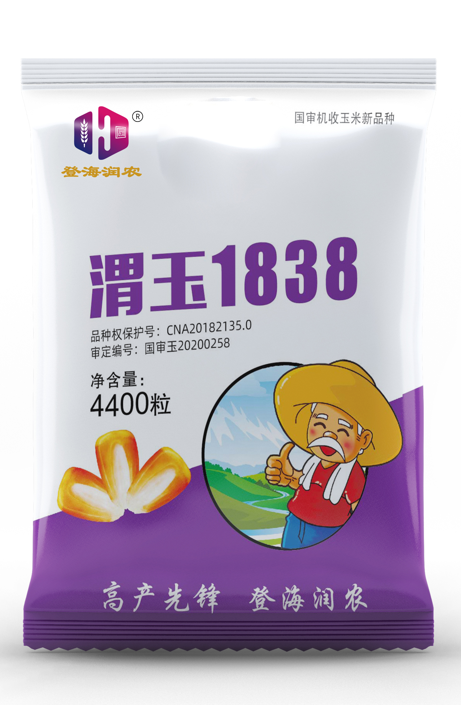 登海潤農種業(yè)重磅推出“渭玉1838”玉米新種