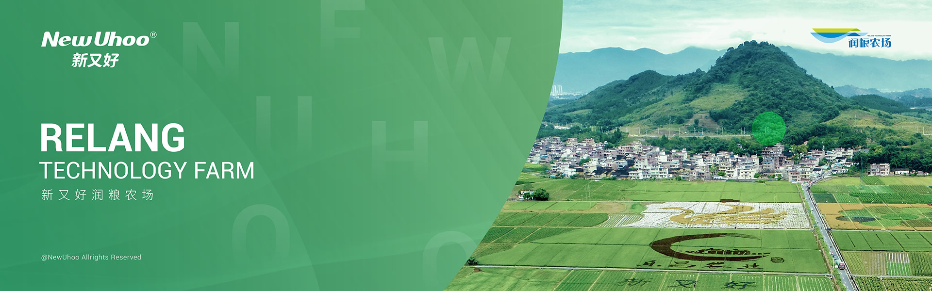 新又好