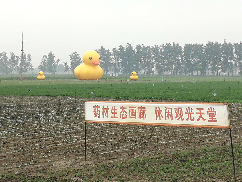 天龍中草藥