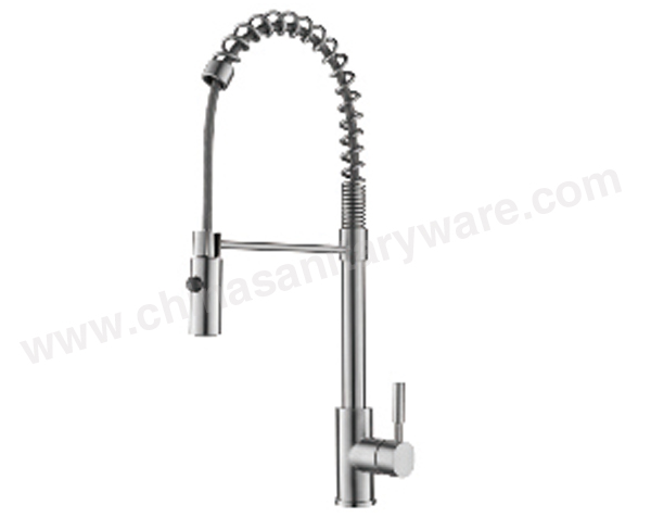 kitchen faucet-FT1110 kitchen faucet-FT1110