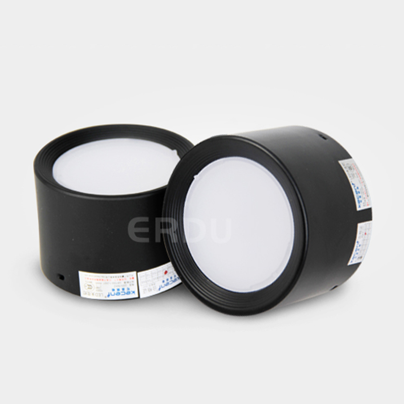 YS surface mounted downlight YS surface mounted downlight