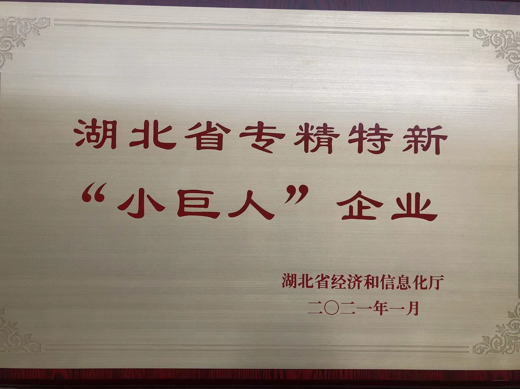 專精特新小巨人證書