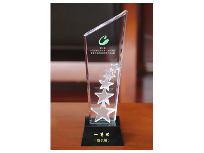 2019年 中國創新創業大賽（湖南賽區）暨第五屆湖南省創新創業大賽一等獎