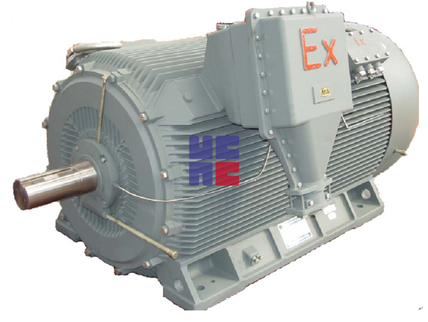 T（B）YCPX系列高效率（隔爆型）高壓變頻調速永磁式三相同步電動機（H355～H560）