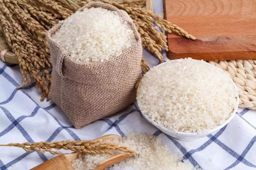 糯米和大米有什么区别？为什么糯米不能当主食呢？