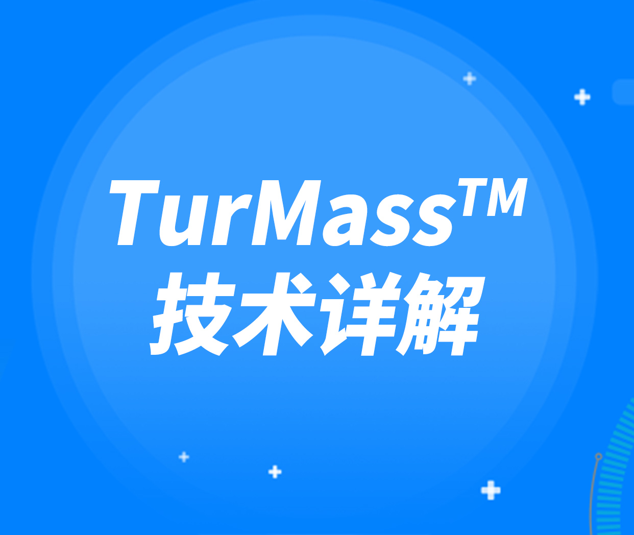 全国产无线物联网技术 TurMass™ 详解
