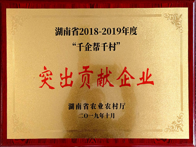 “千企幫千村”突出貢獻(xiàn)獎(jiǎng)