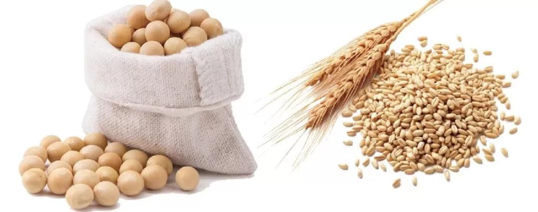如何辨別好醬油——山東食圣釀造食品有限公司