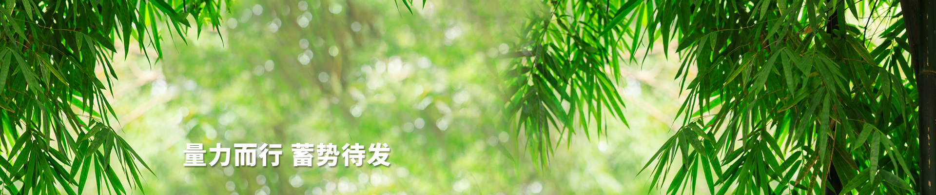 贵州地矿 贵州地矿