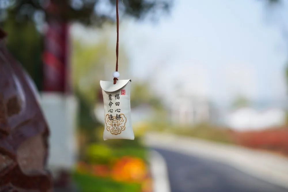 莲花公墓2023年清明祭扫指南