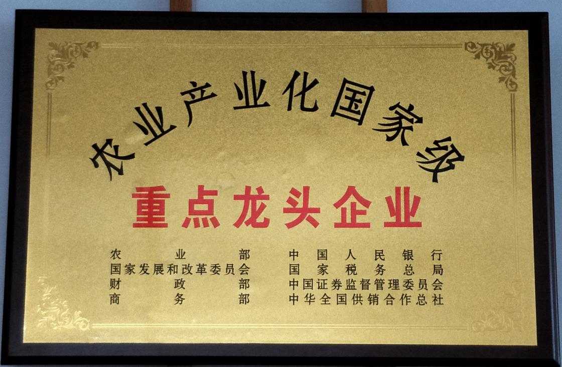 國家級農(nóng)業(yè)產(chǎn)業(yè)化重點(diǎn)龍頭企業(yè)