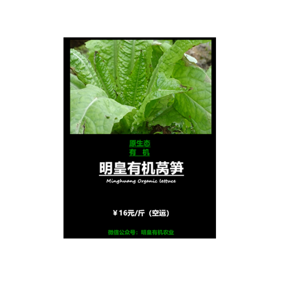 明皇有機(jī)萵筍