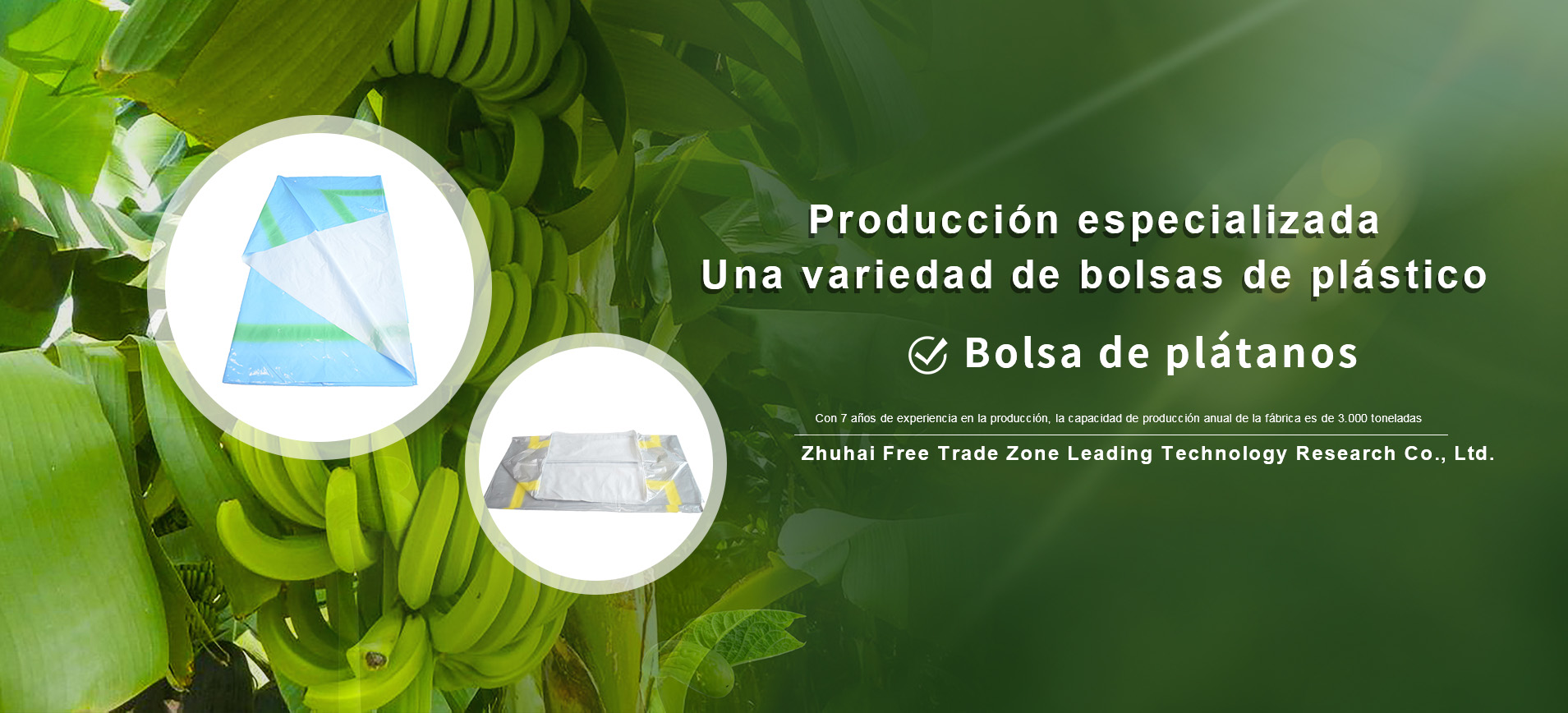 banner banner