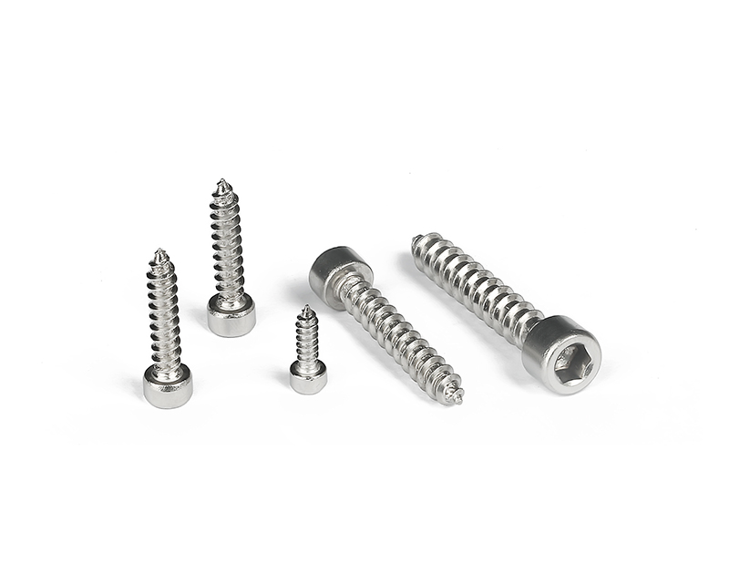 (SS304) Socket Head Cap Self-tapping Screws (SS304) Socket Head Cap Self-tapping Screws