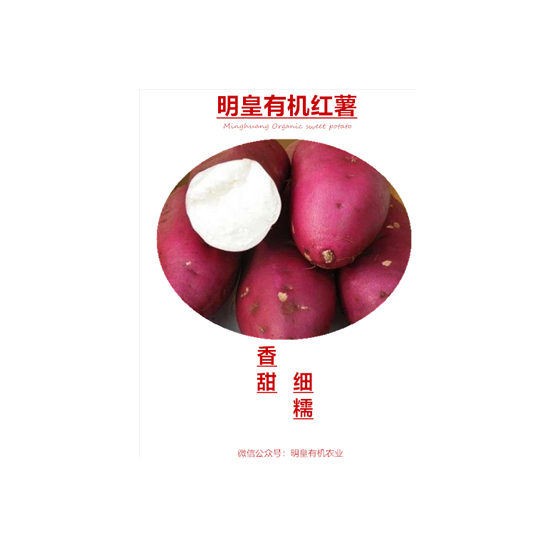 明皇有機(jī)紅薯