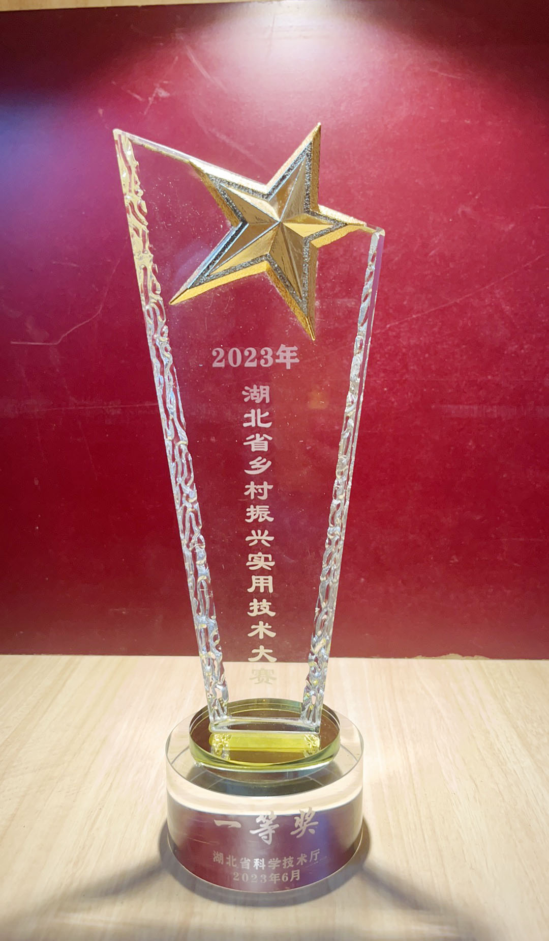 2023年湖北省鄉村振興實用技術大賽一等獎