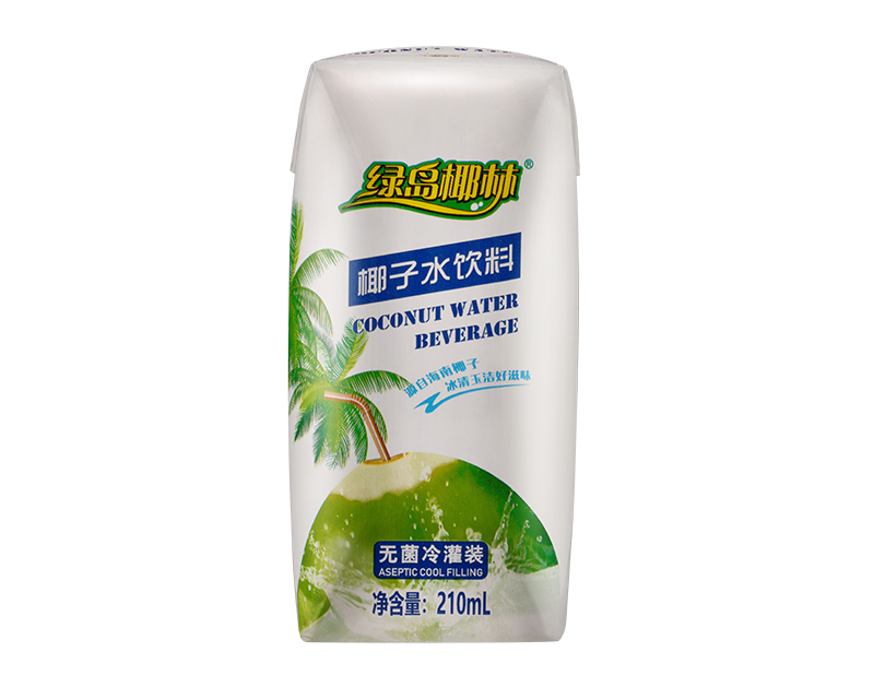 綠島椰林椰子水