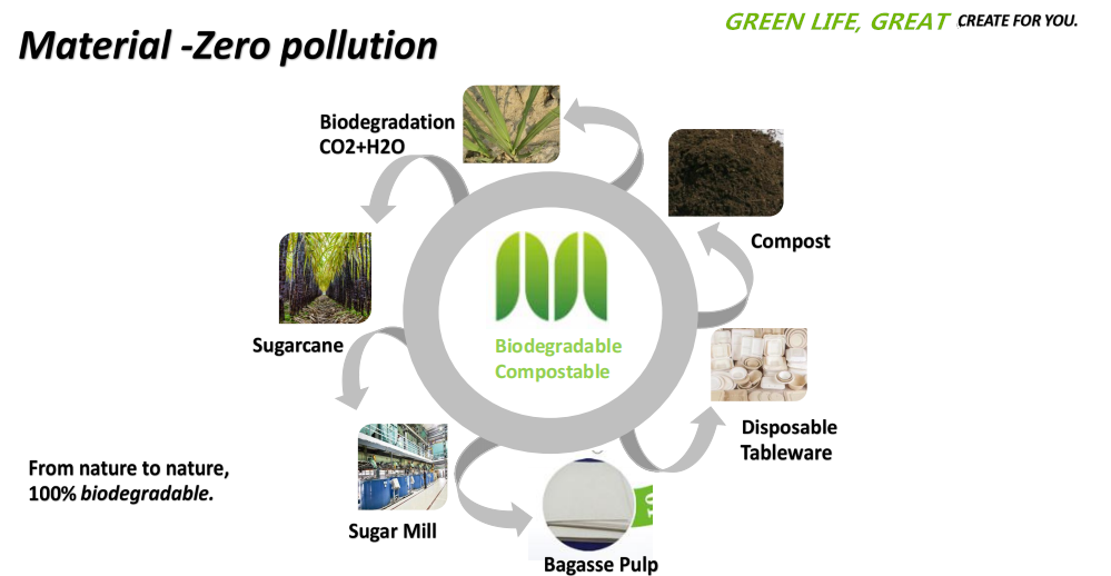 Sugarcane Bagasse Biopackage Creating a eco-friendly Green Lifestyle