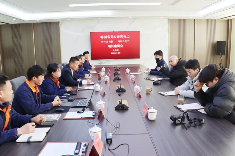韓國帝龍電力株式會社與泰和電力項目交流會議
