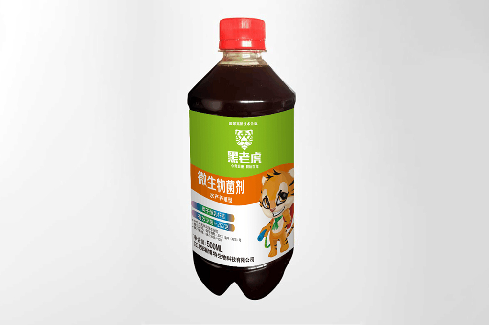 黑老虎 微生物菌剂水产养殖型500ML