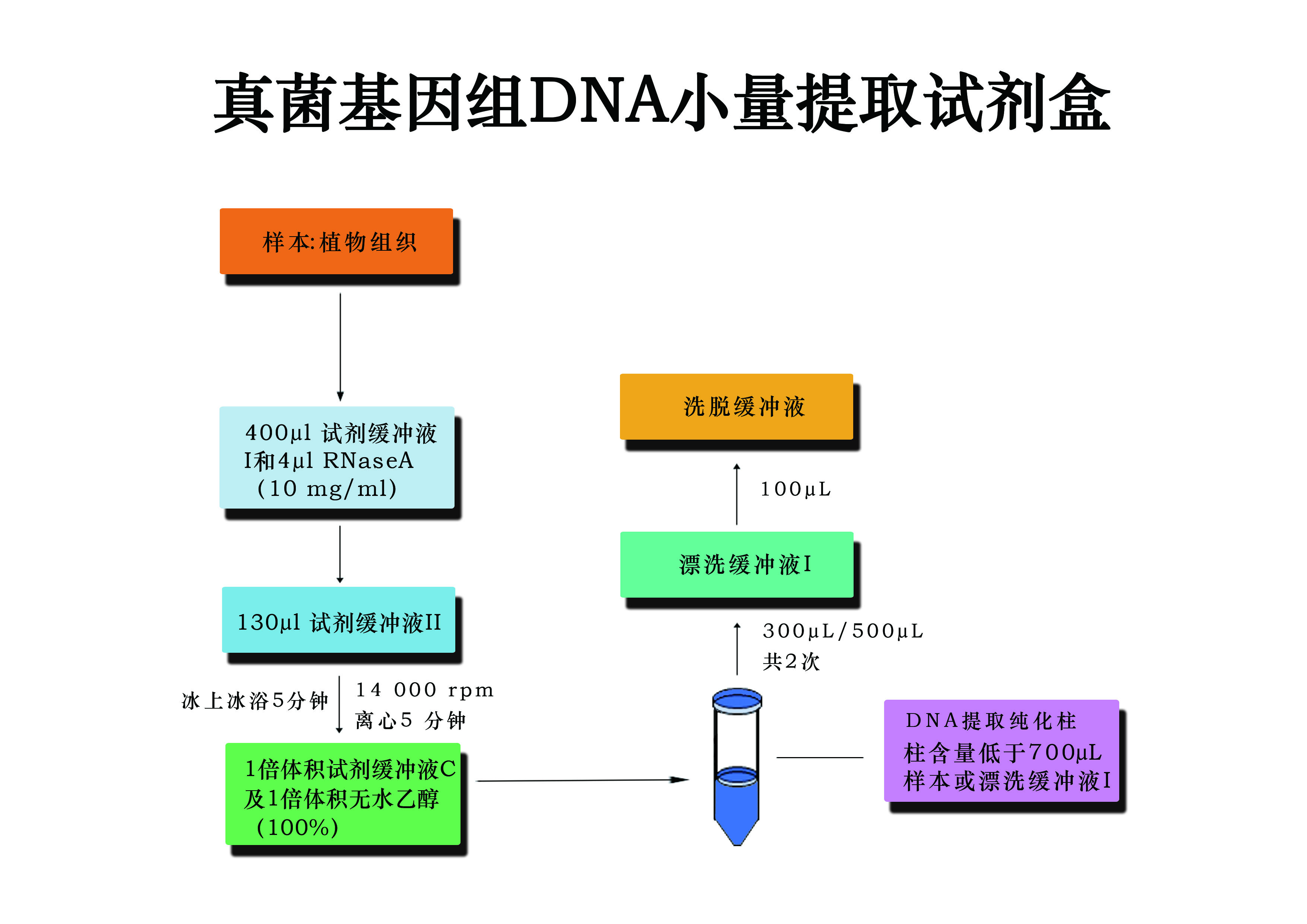 真菌基因組DNA小量提取試劑盒流程圖